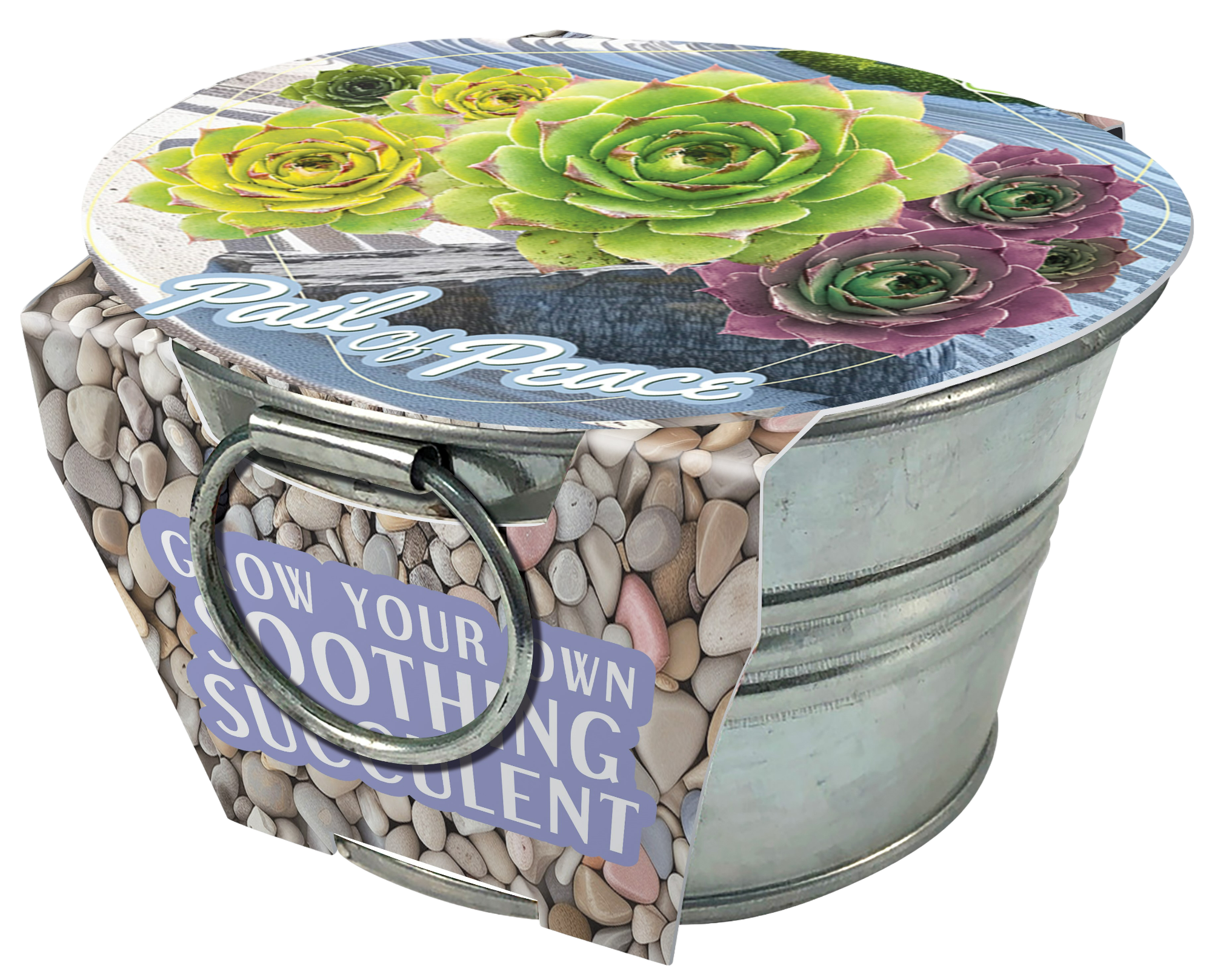 Flowering Tin Garden Variety Pack - 1 Each of 3 Varieties product image 4