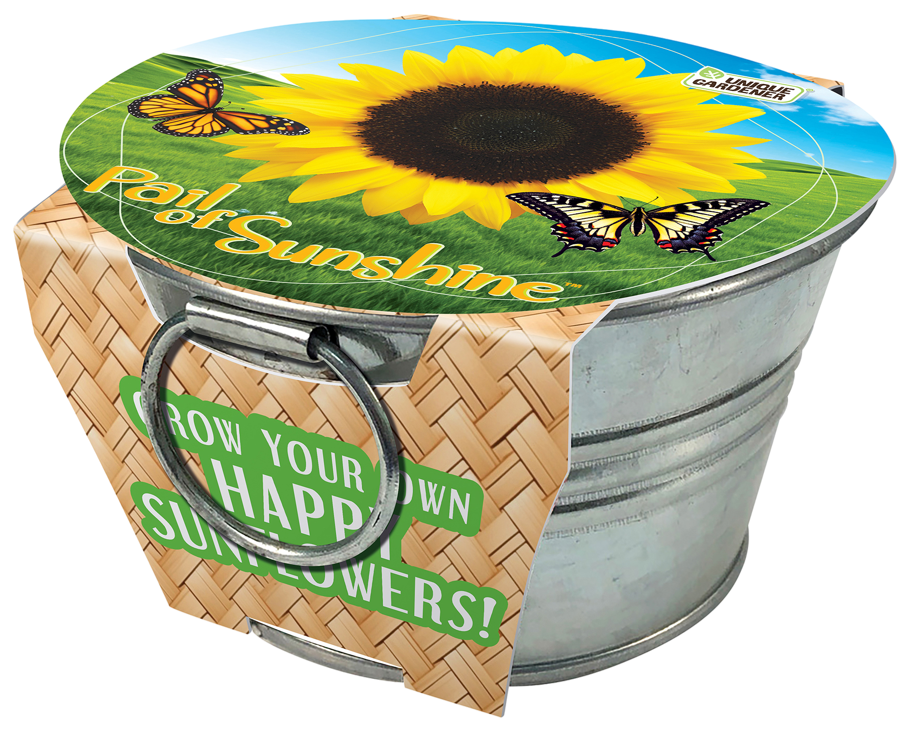 Pail of Sunshine - Grow Your Own Sunflowers Multipack of 3 product image 3