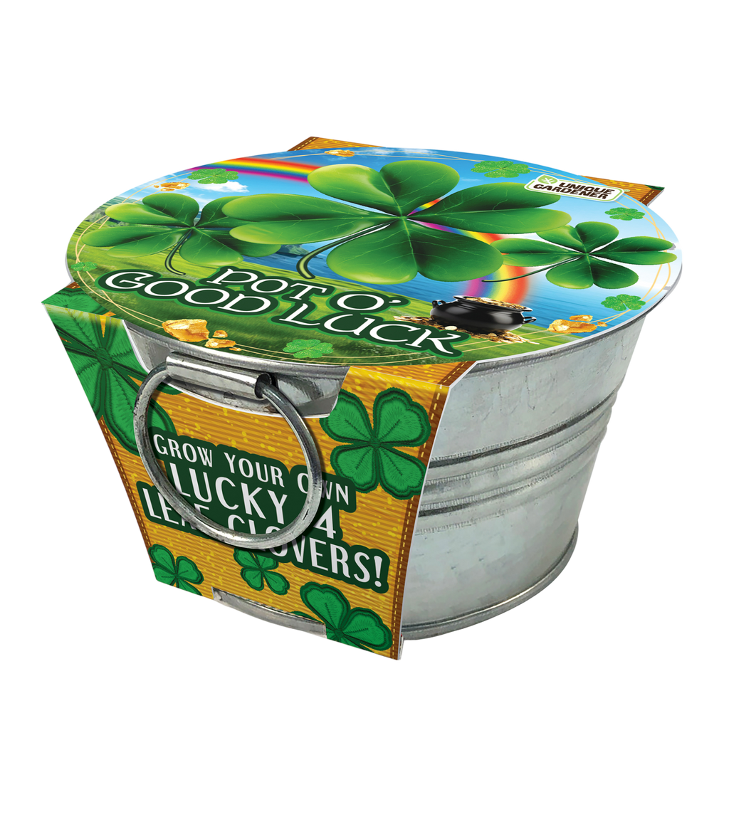 Pot O' Good Luck - Grow Your Own Shamrocks Multipack of 3 product image 6