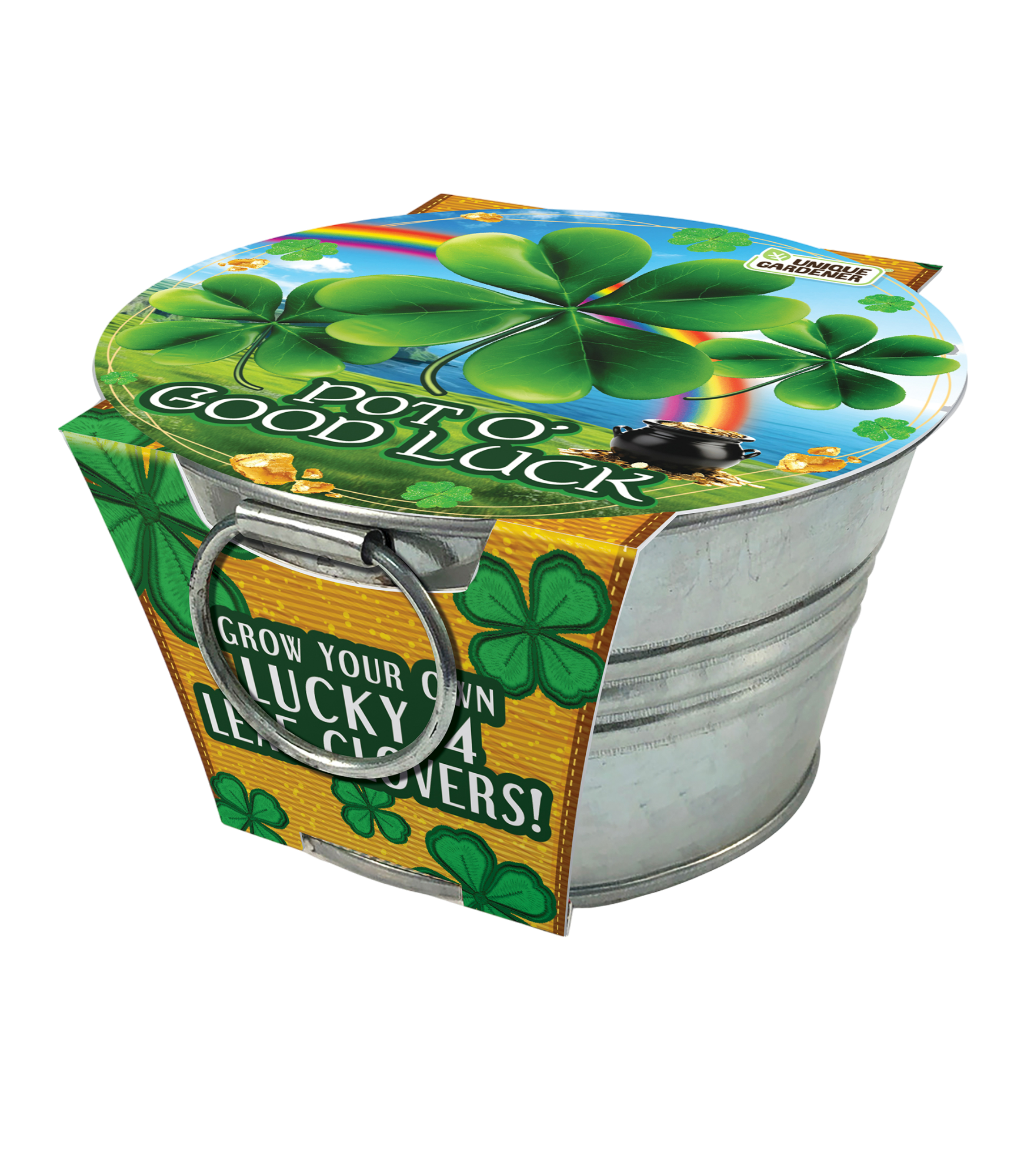 Pot O' Good Luck - Grow Your Own Shamrocks Multipack of 3 product image 6