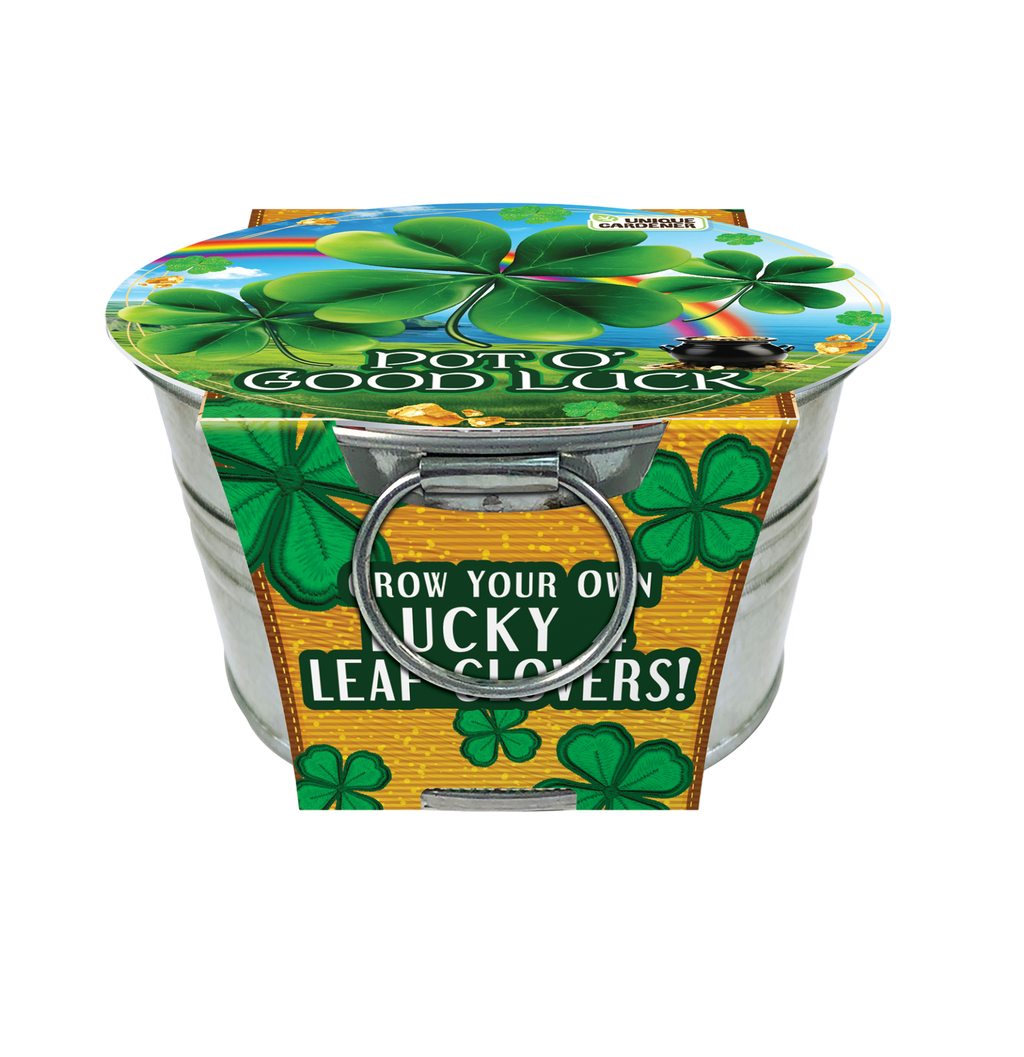 Pot O' Good Luck - Grow Your Own Shamrocks Multipack of 3 product image 7