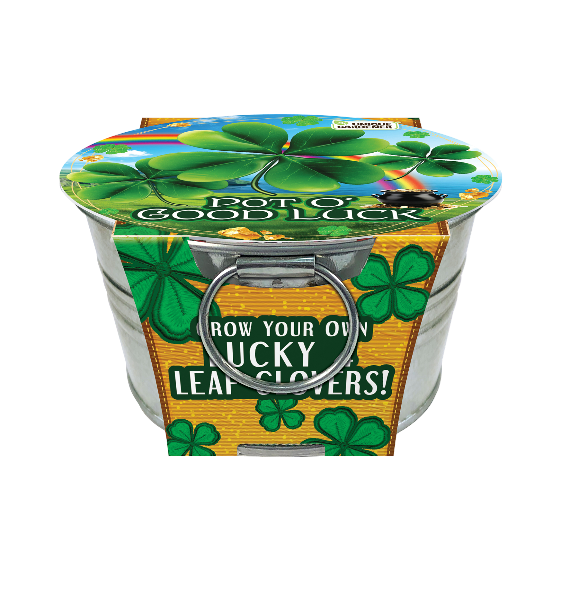 Pot O' Good Luck - Grow Your Own Shamrocks Multipack of 3 product image 7