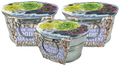 Pail of Peace - Grow Your Own Succulents Multipack of 3 product image 1