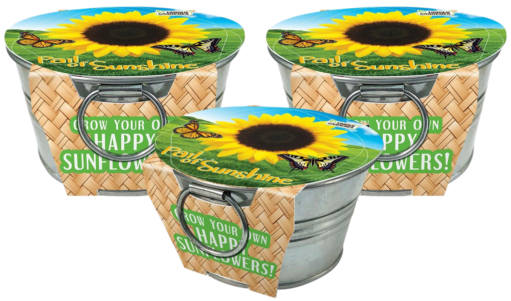 Pail of Sunshine - Grow Your Own Sunflowers Multipack of 3 product image 1