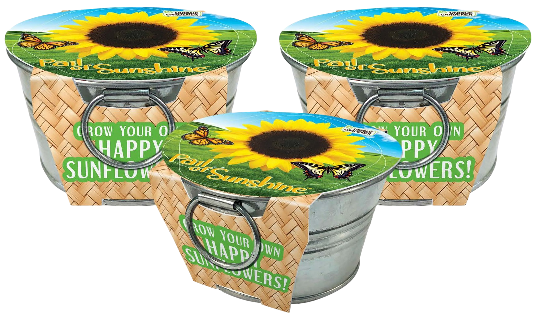 Pail of Sunshine - Grow Your Own Sunflowers Multipack of 3 product image 1