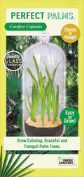 Perfect Palms Glass Terrarium Seed Starting Kit — product image 1