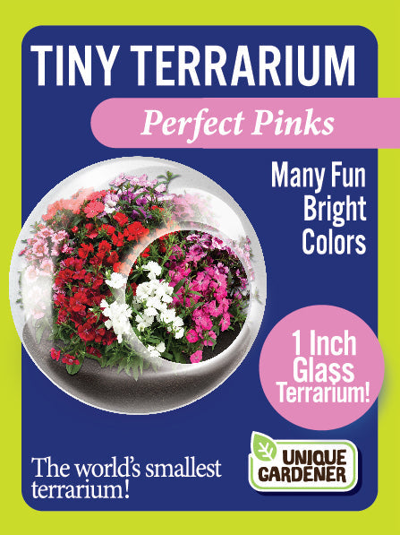 Flowering Tiny Terrariums Bundle - 1 each of 6 Varieties — product image 6
