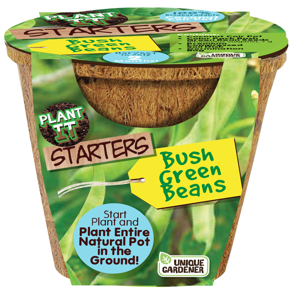 Green Bush Beans Plant-It-Starters - Multipack of 4 product image 3