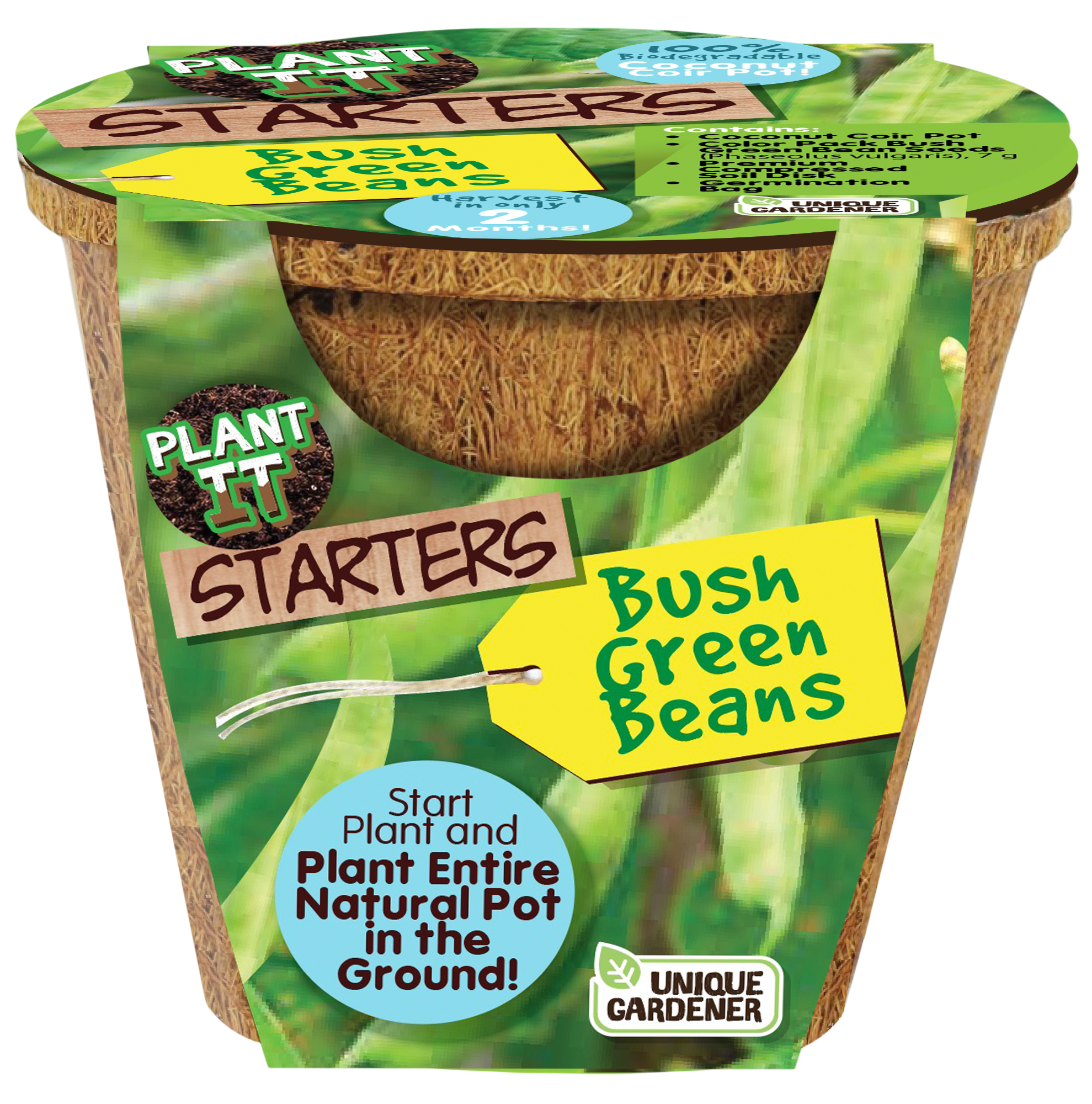 Green Bush Beans Plant-It-Starters - Multipack of 4 product image 3