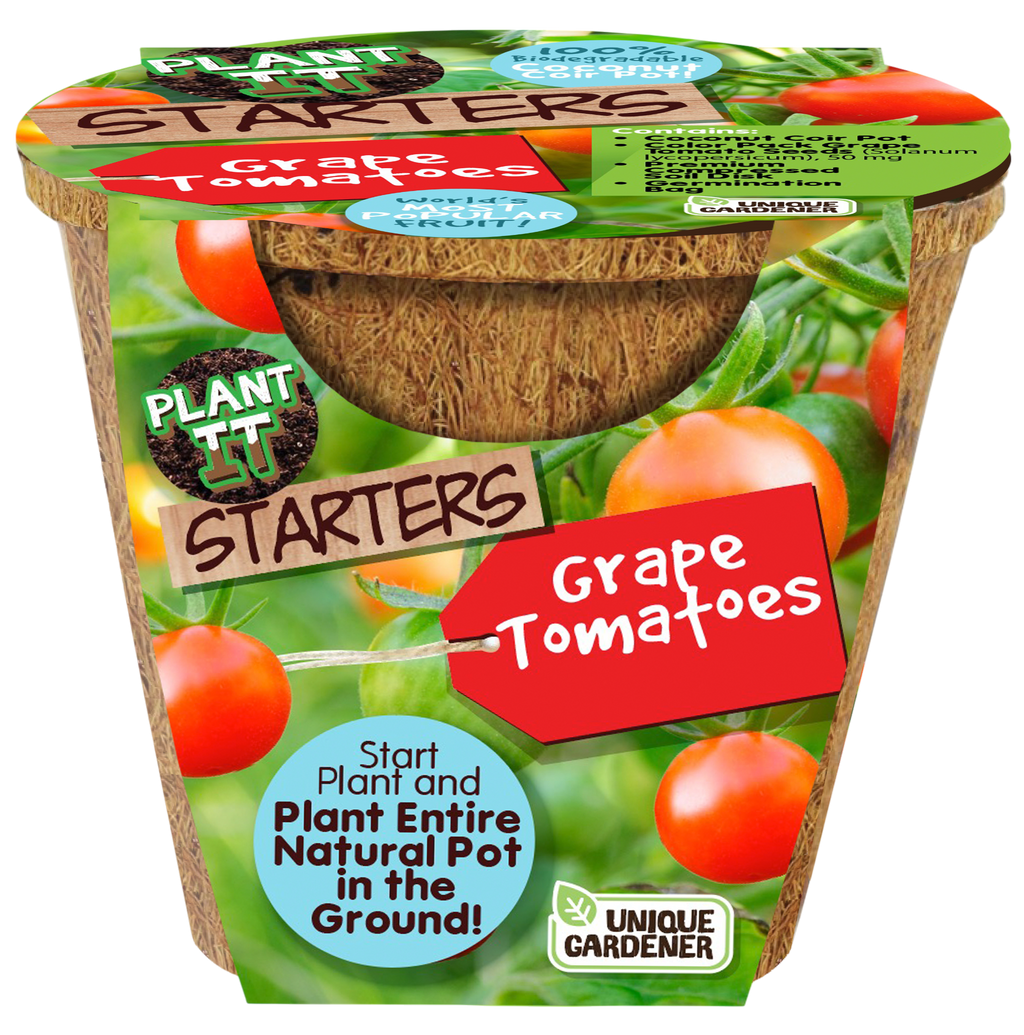 Grape Tomatoes Plant-It-Starters - Multipack of 4 — product image 4