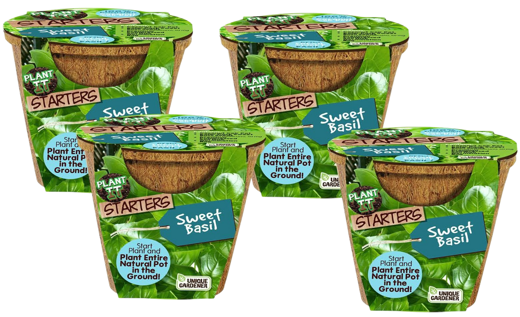 Sweet Basil Plant-It-Starters - Multipack of 4 — product image 1