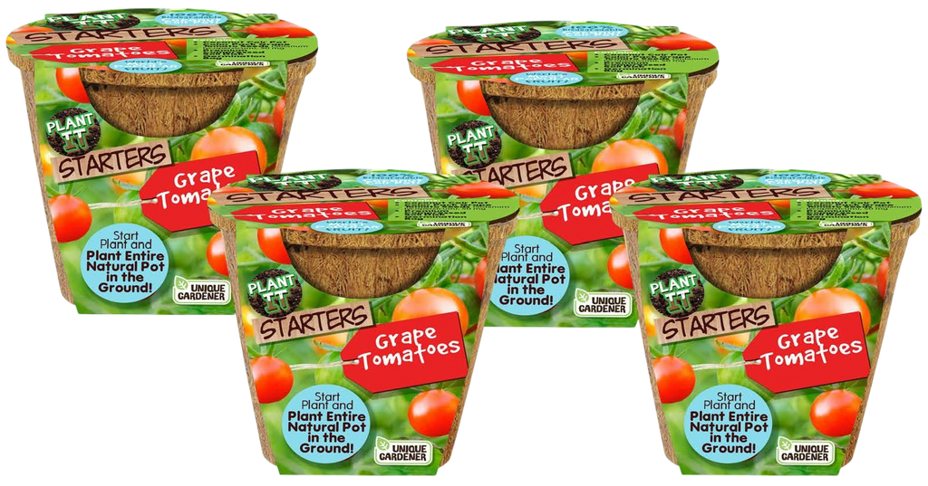 Grape Tomatoes Plant-It-Starters - Multipack of 4 — product image 1
