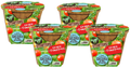 Grape Tomatoes Plant-It-Starters - Multipack of 4 — product image 1