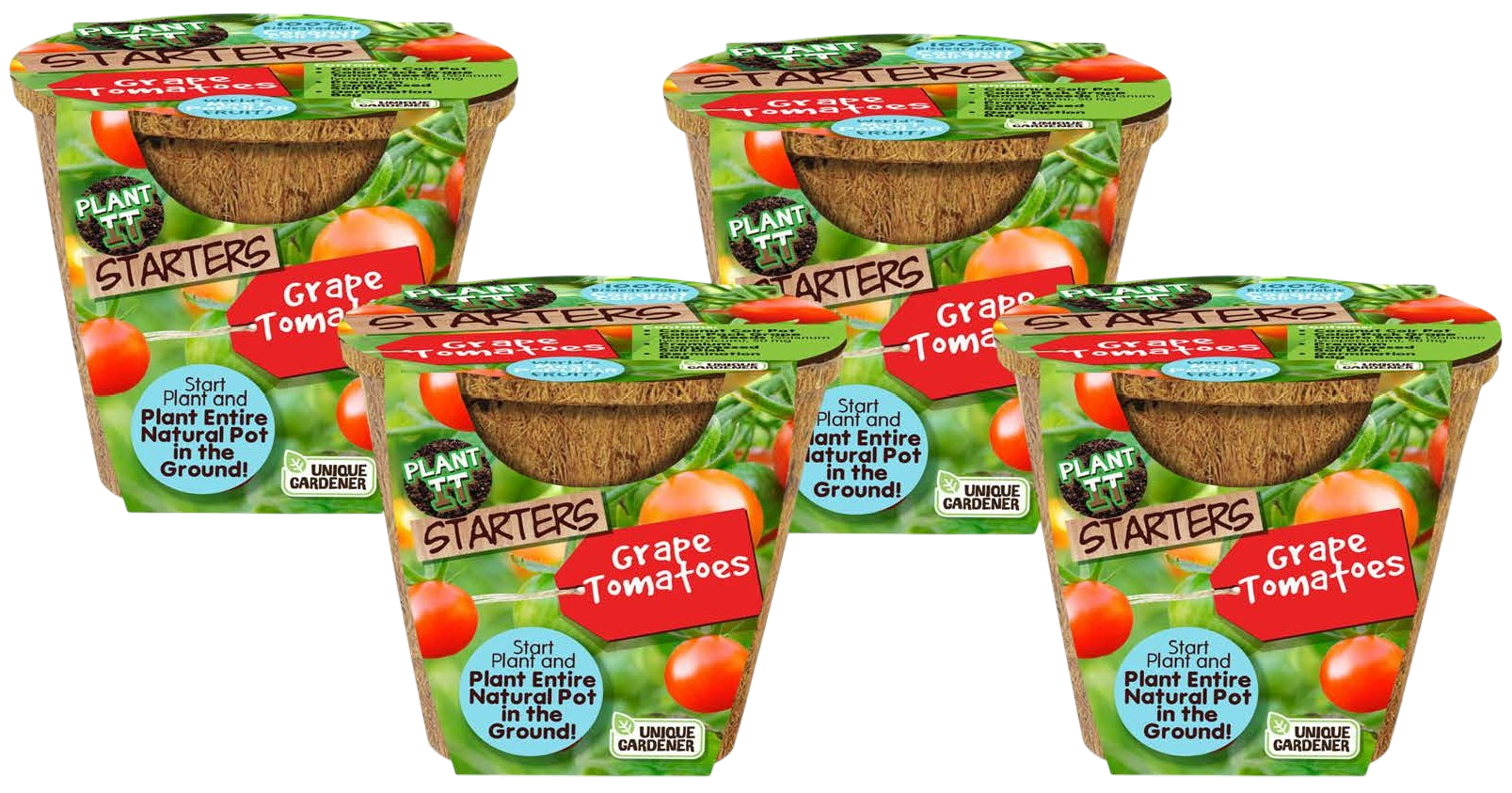 Grape Tomatoes Plant-It-Starters - Multipack of 4 — product image 1