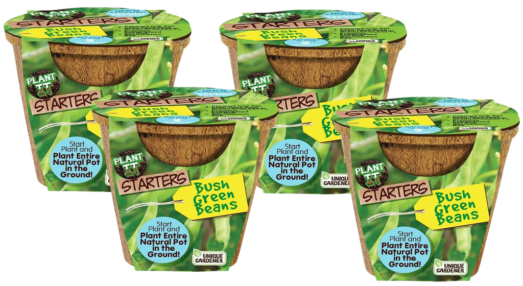 Green Bush Beans Plant-It-Starters - Multipack of 4 product image 1