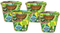 Green Bush Beans Plant-It-Starters - Multipack of 4 product image 1
