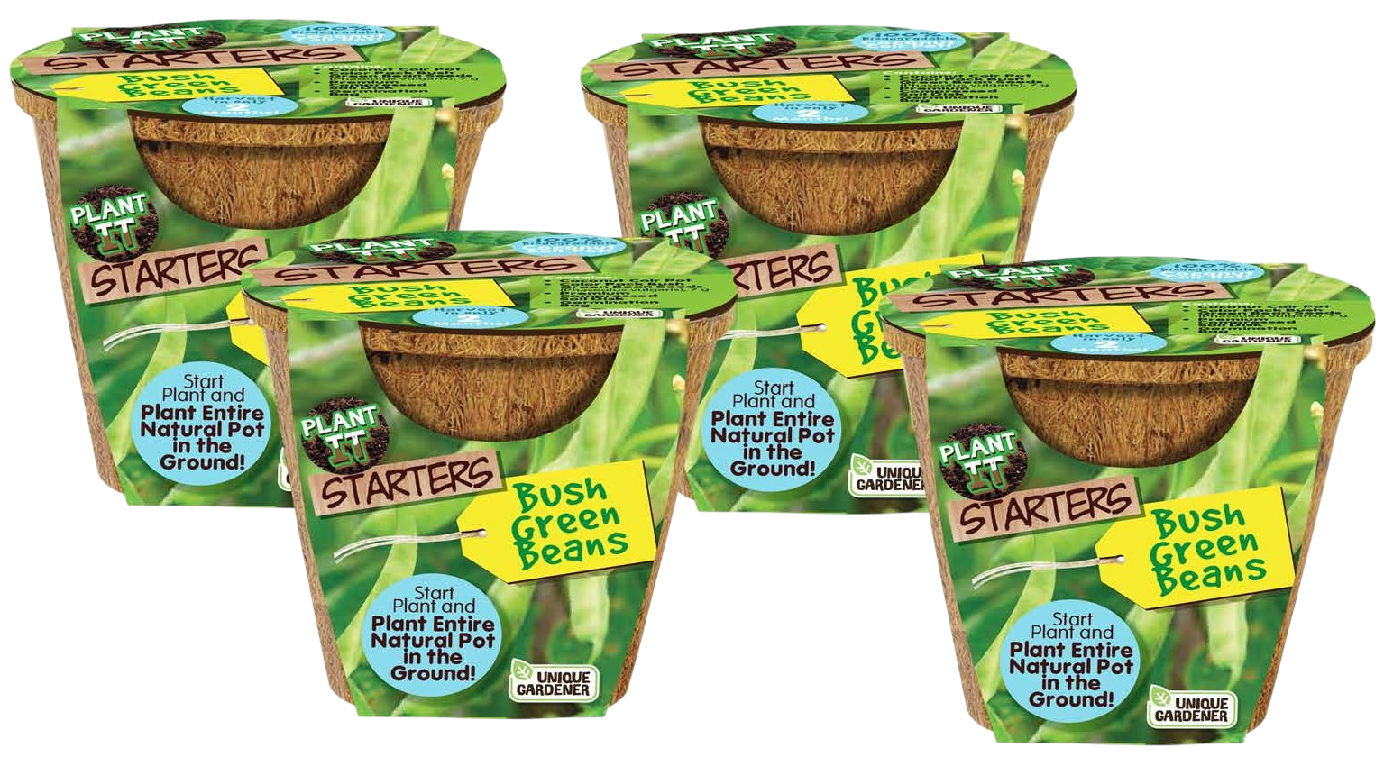 Green Bush Beans Plant-It-Starters - Multipack of 4 product image 1