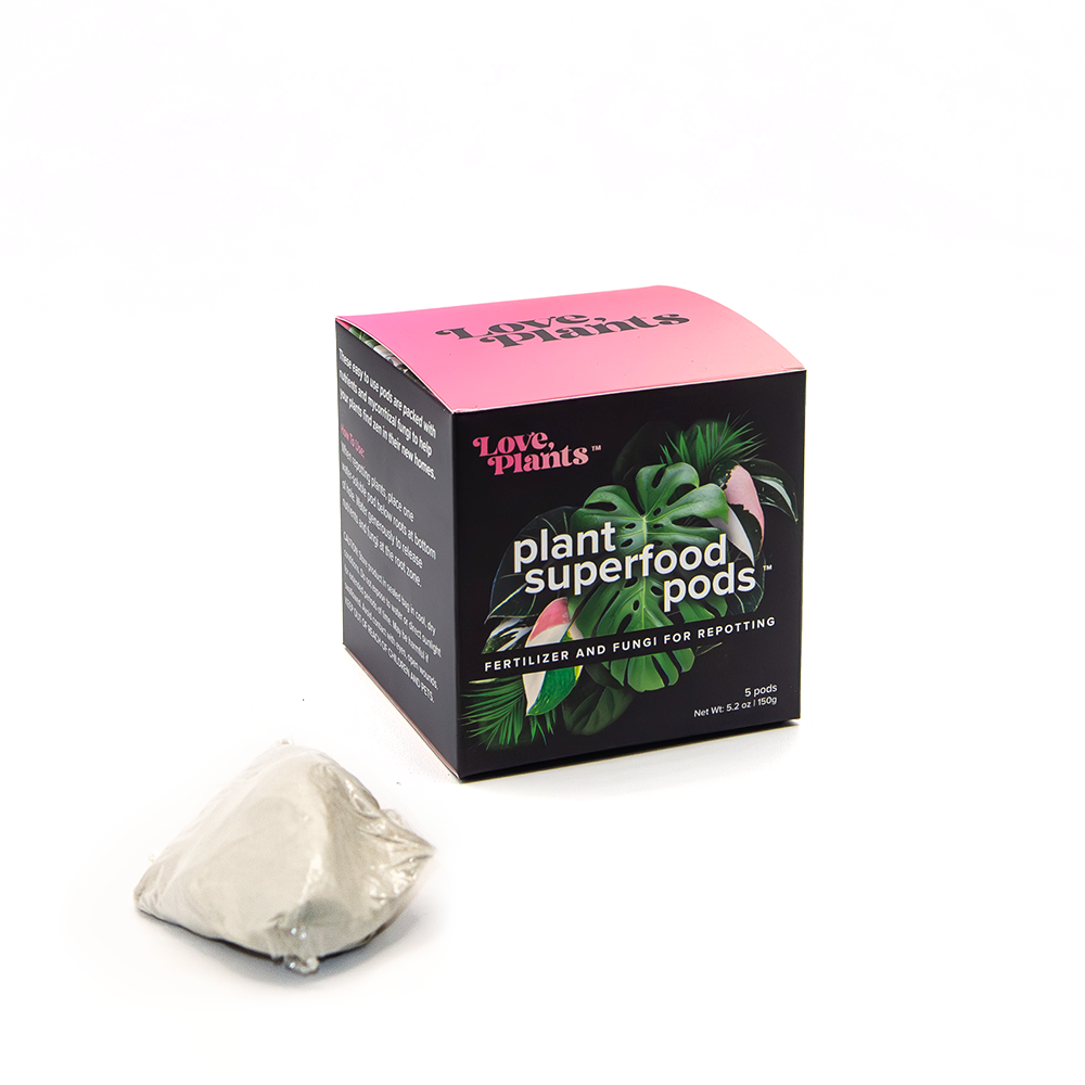 Houseplant Repotting Kit product image 3