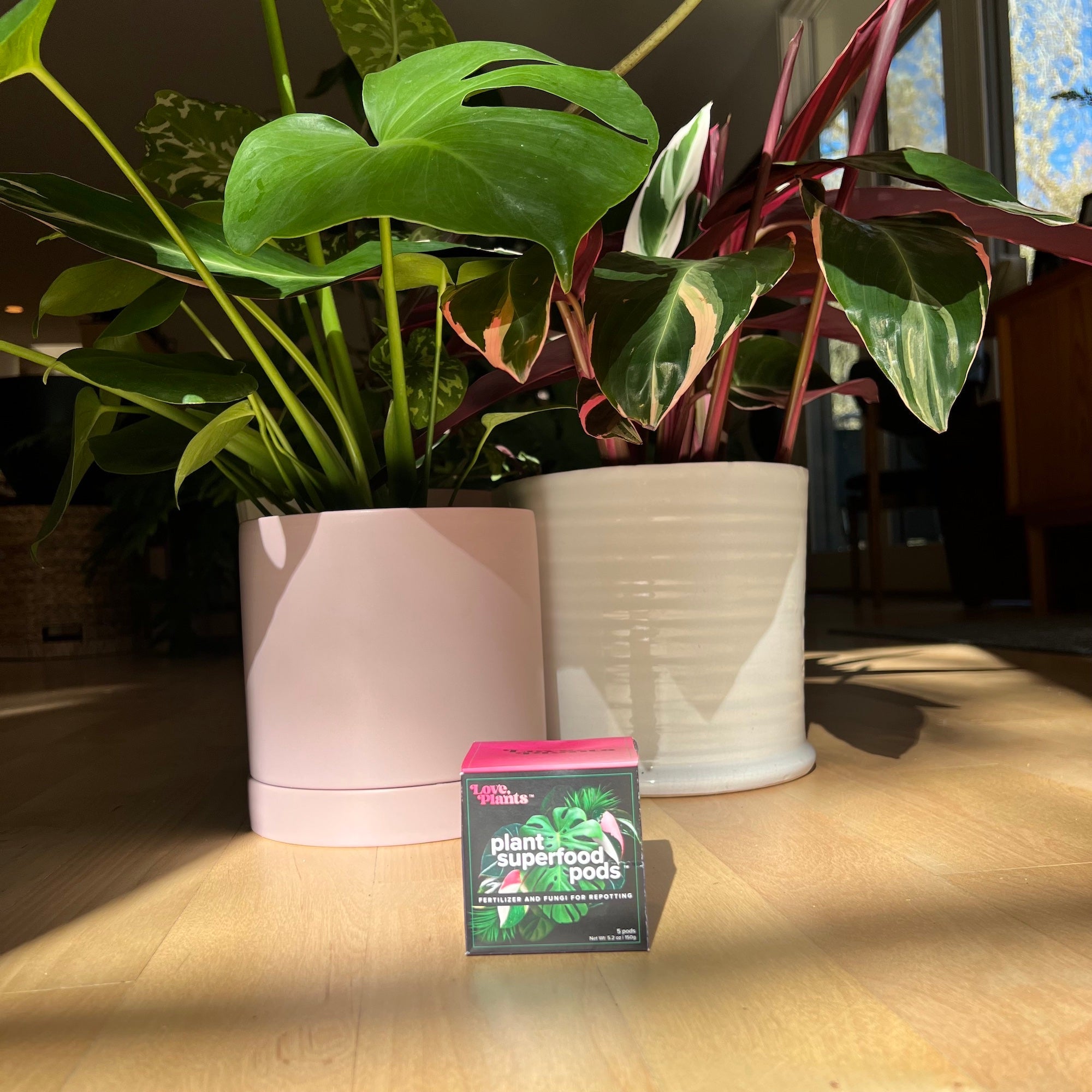 Plant Superfood Pods product image 3