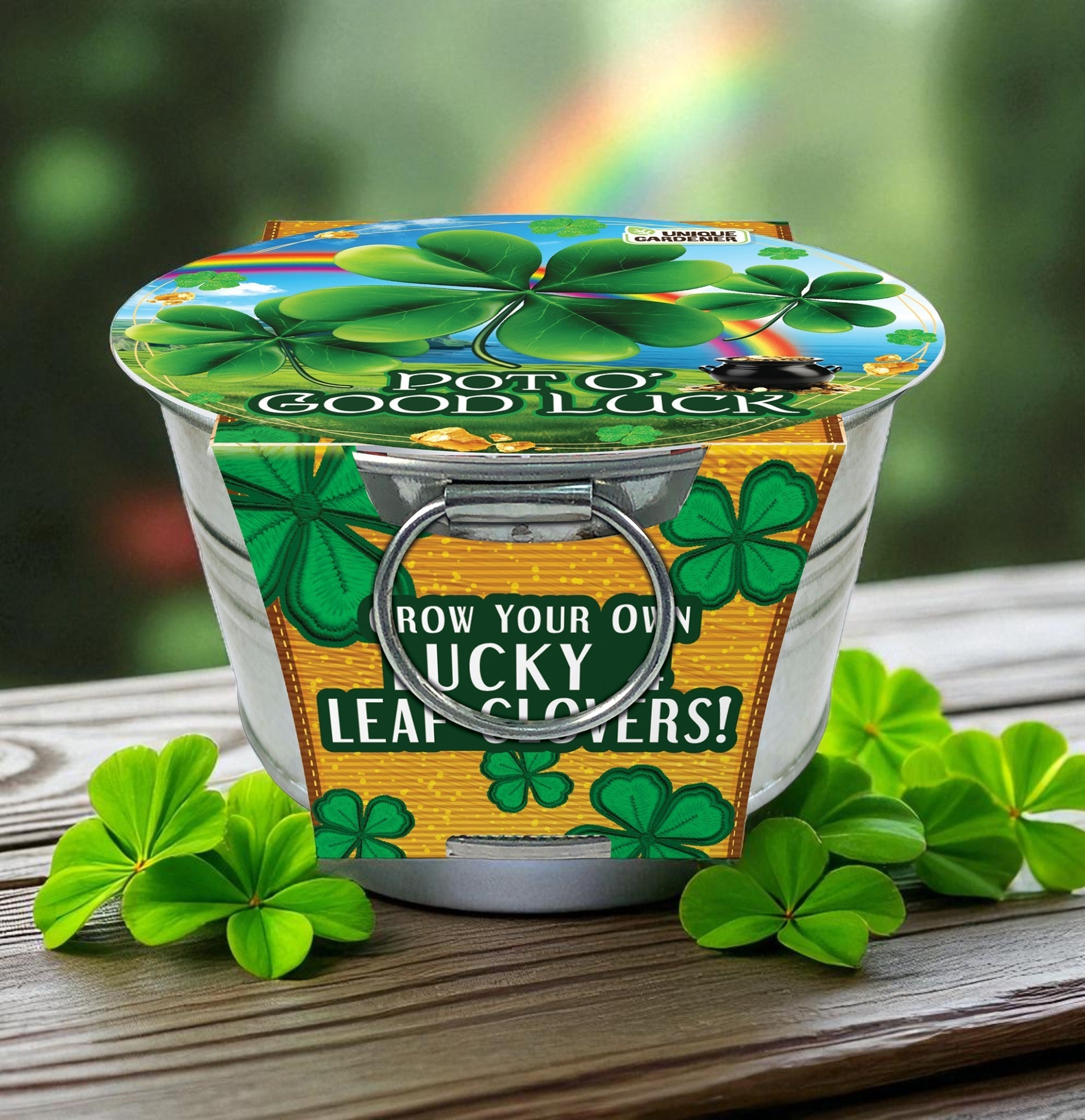 Pot O' Good Luck - Grow Your Own Shamrocks Multipack of 3 product image 3