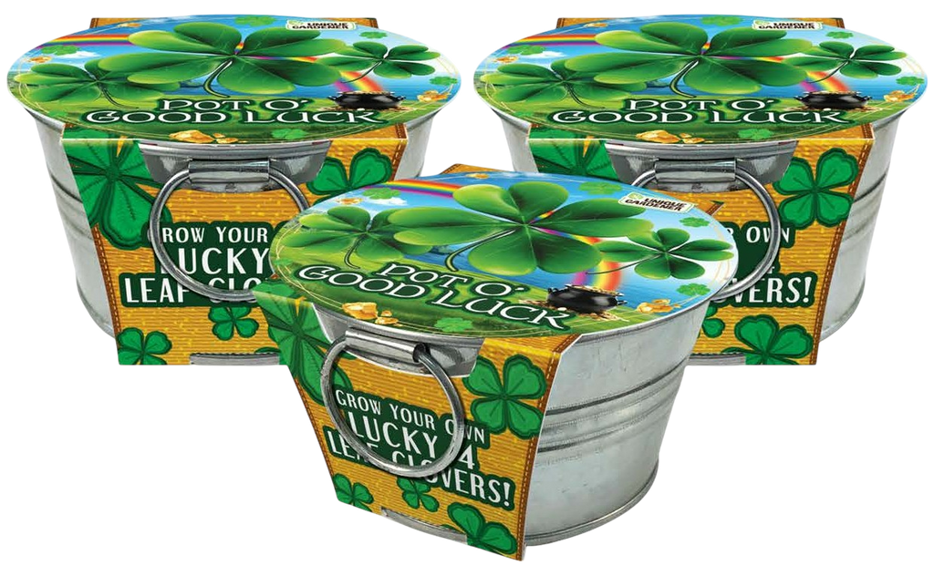 Pot O' Good Luck - Grow Your Own Shamrocks Multipack of 3 product image 1