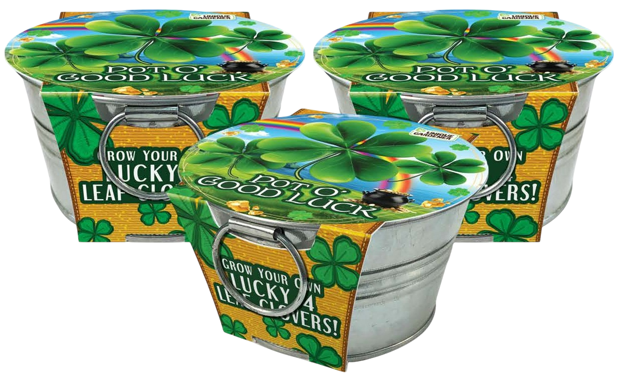 Pot O' Good Luck - Grow Your Own Shamrocks Multipack of 3 product image 1