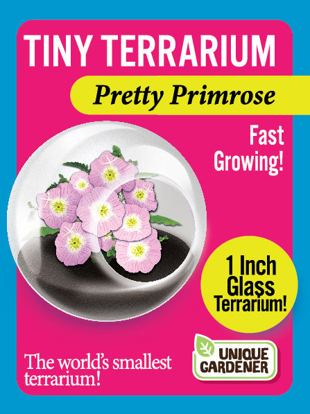 Flowering Tiny Terrariums Bundle - 1 each of 6 Varieties — product image 12