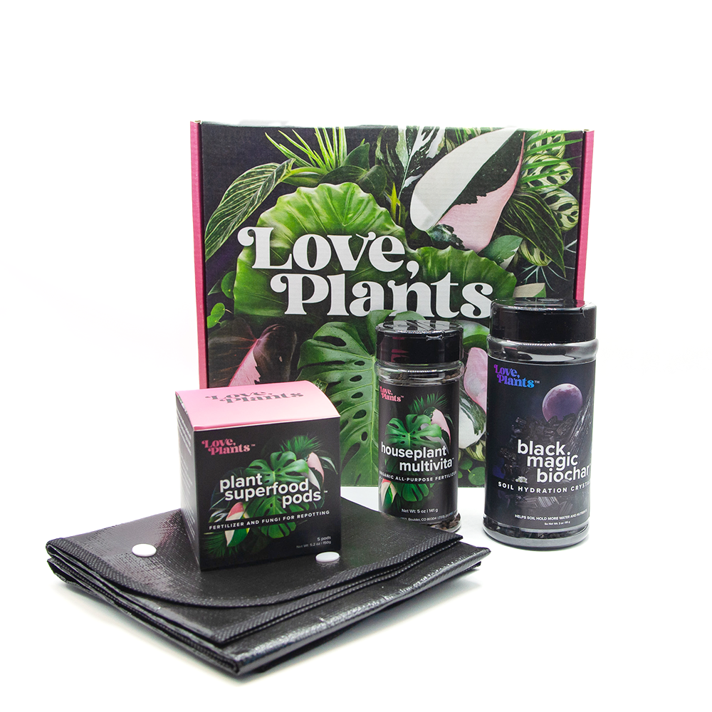 Houseplant Repotting Kit product image 1