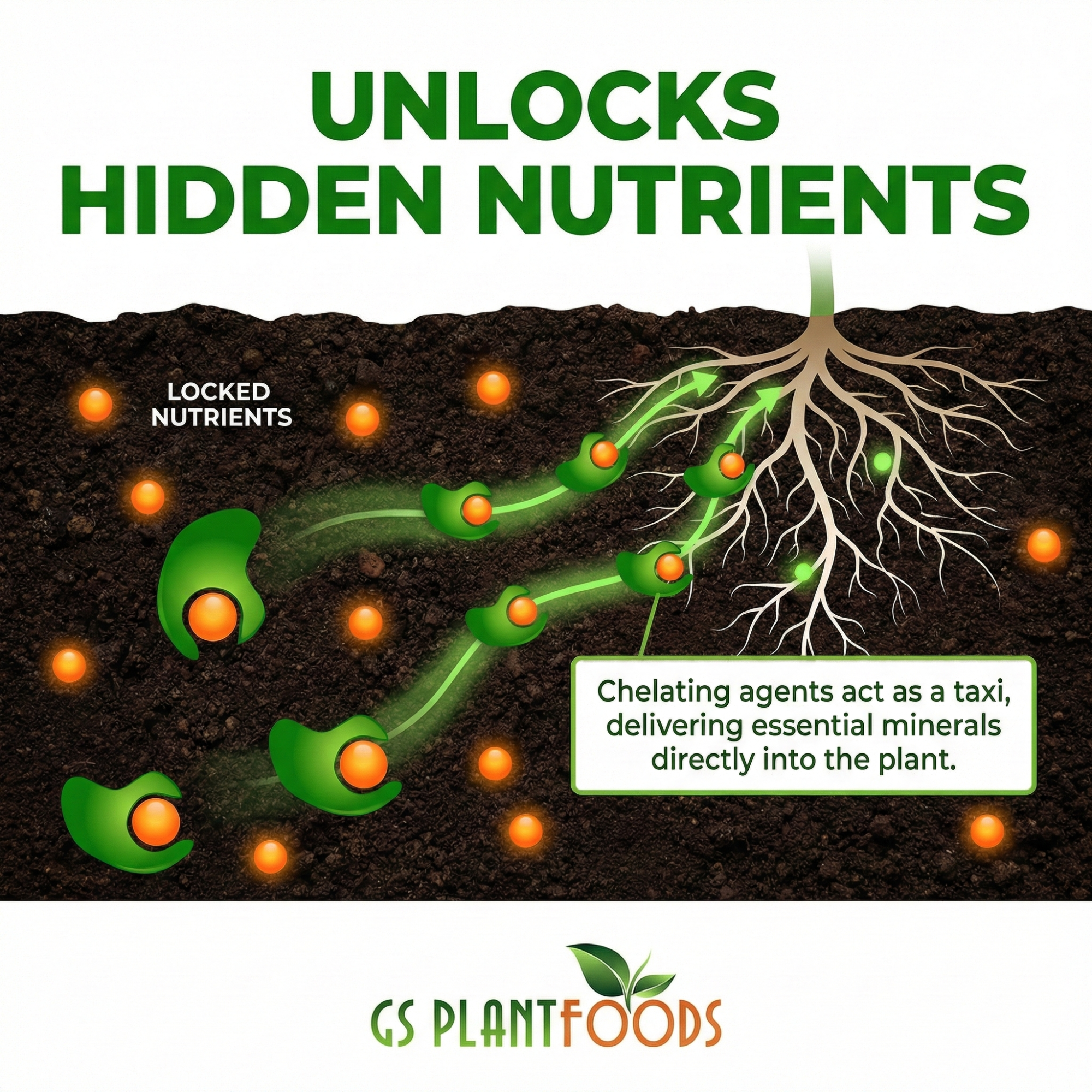 Root Ruckus! Turbo Charged Liquid Compost product image 4