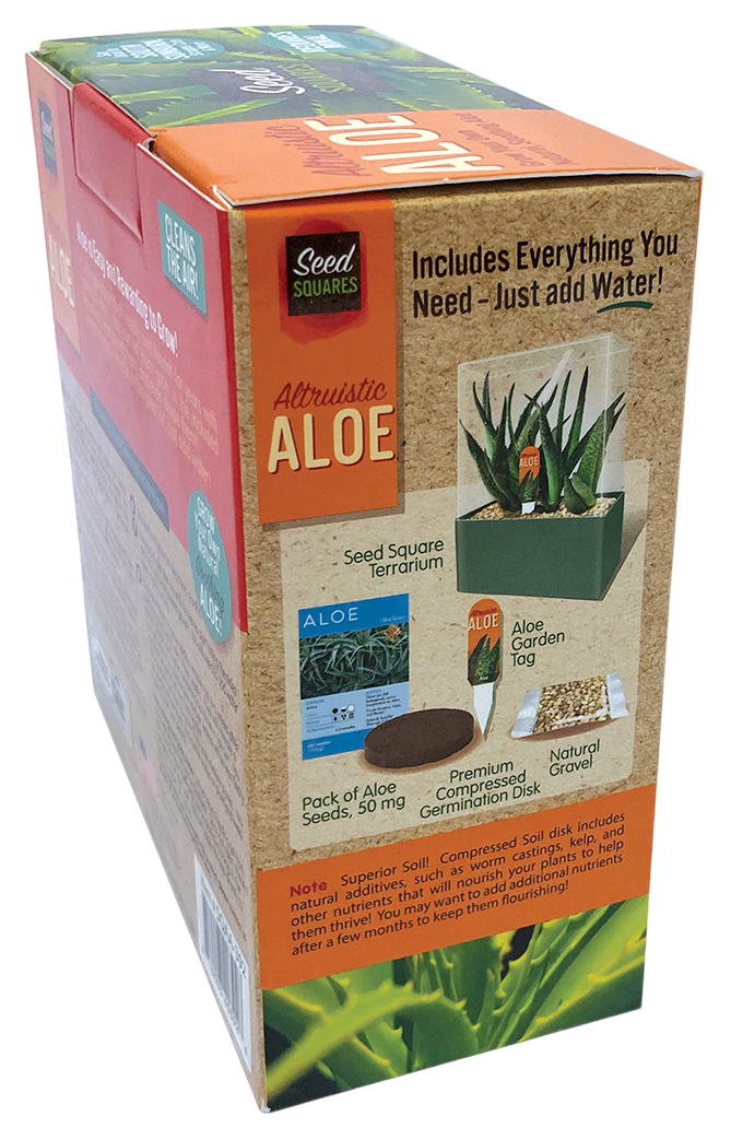 Aloe Seed Square Terrarium product image 6