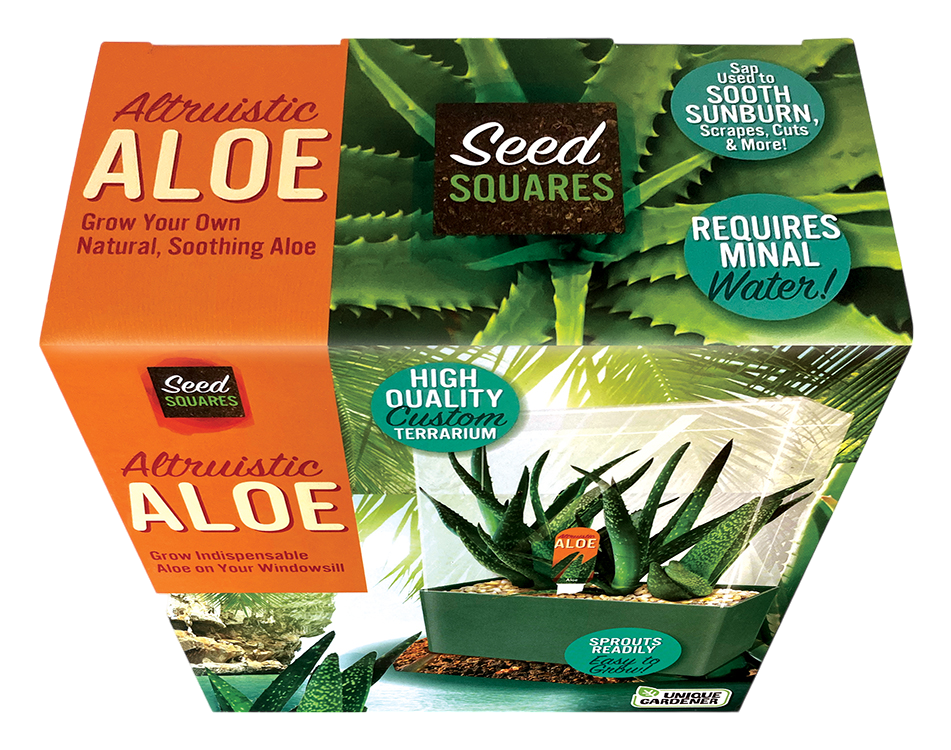 Aloe Seed Square Terrarium product image 4