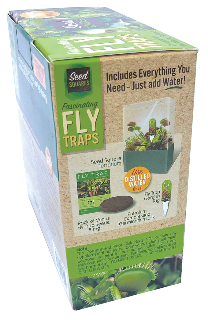 Venus Fly Trap Seed Square Terrarium product image 5