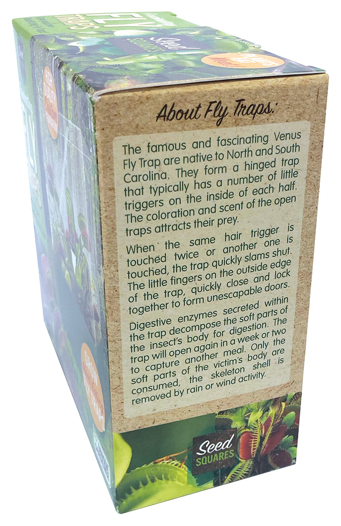 Venus Fly Trap Seed Square Terrarium product image 4