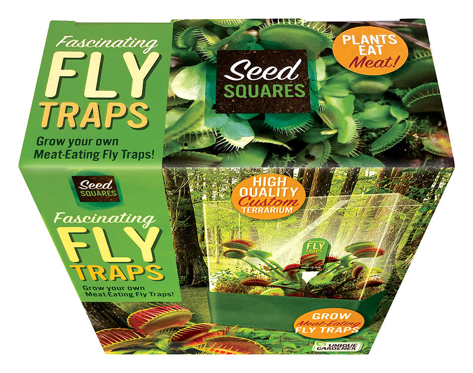 Venus Fly Trap Seed Square Terrarium product image 3