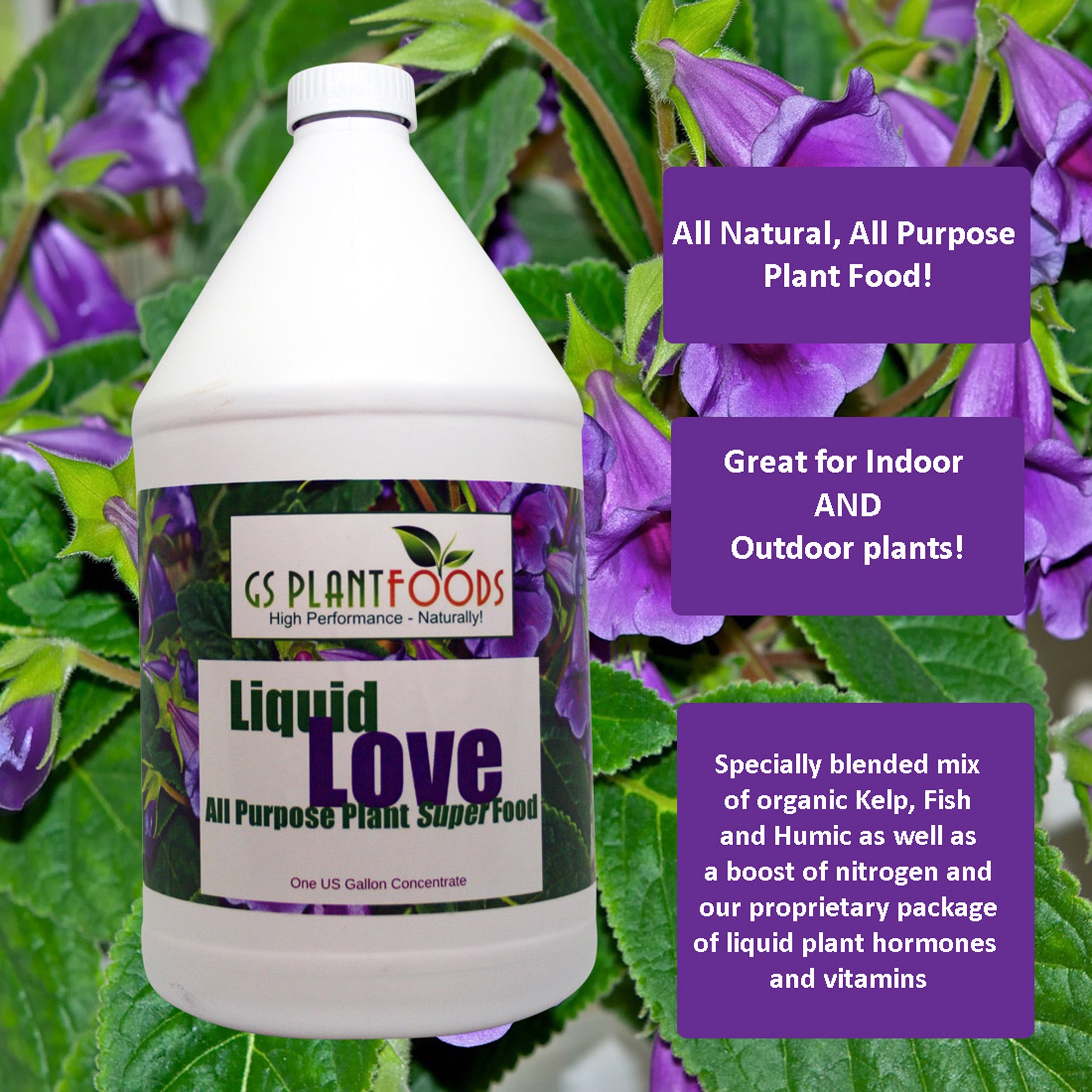 Liquid Love- All Purpose Natural Plant Food product image 6