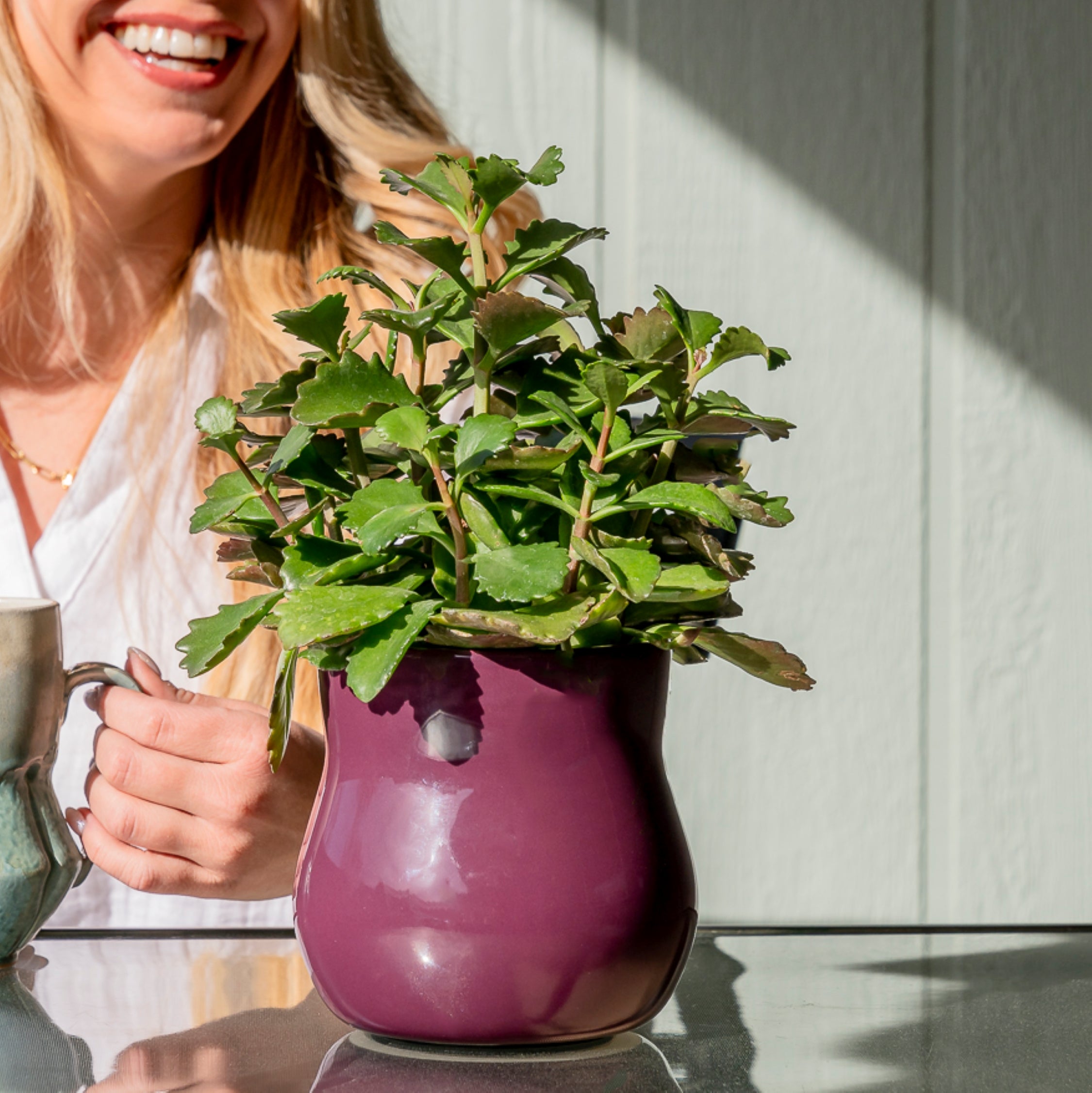 Ceramic Plant Pot with Rubber Liner - Violet Purple product image 5