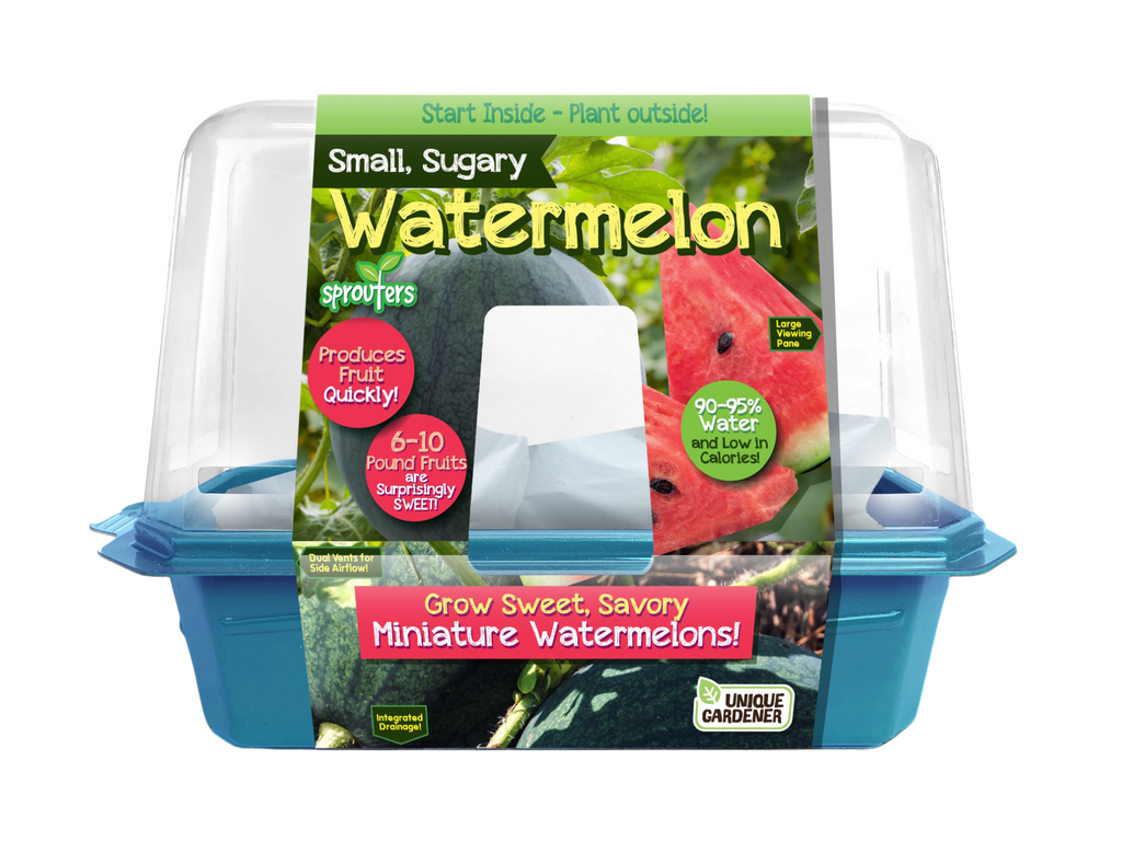 Small, Sugary Watermelon Sprouter Terrarium product image 1