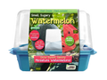 Small, Sugary Watermelon Sprouter Terrarium product image 1