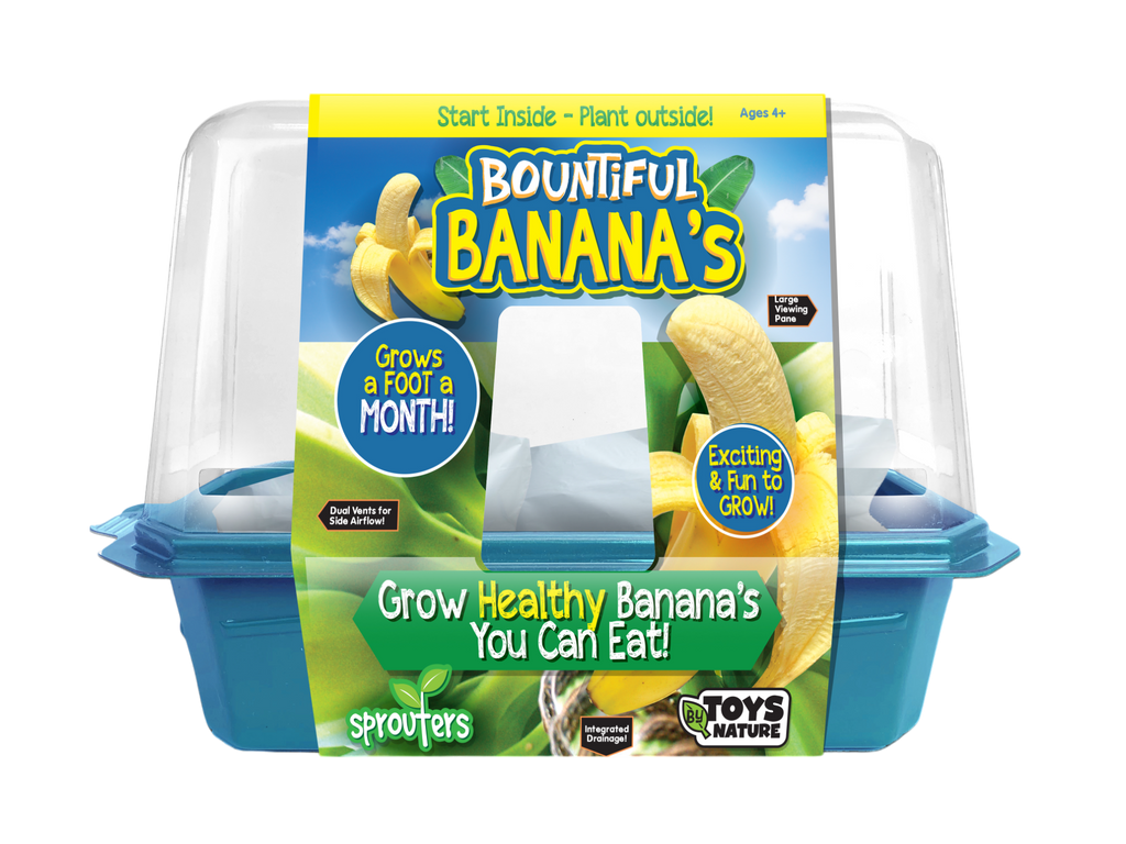 Bountiful Bananas Sprouter Terrarium — product image 1