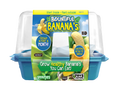 Bountiful Bananas Sprouter Terrarium — product image 1
