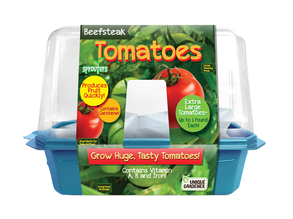 Beefsteak Tomatoes Sprouter Terrarium product image 1