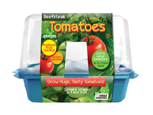 Beefsteak Tomatoes Sprouter Terrarium product image 1