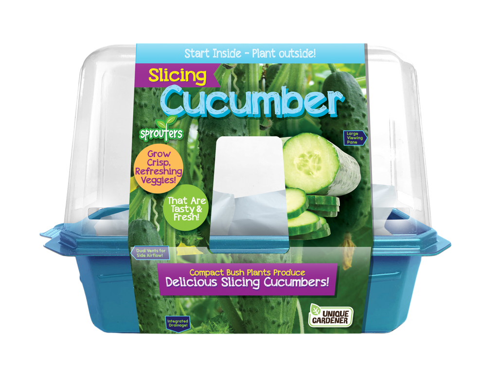 Slicing Cucumbers Sprouter Terrarium product image 1