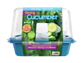 Slicing Cucumbers Sprouter Terrarium product image 1