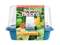 Mini Melons Sprouter Terrarium product image 1
