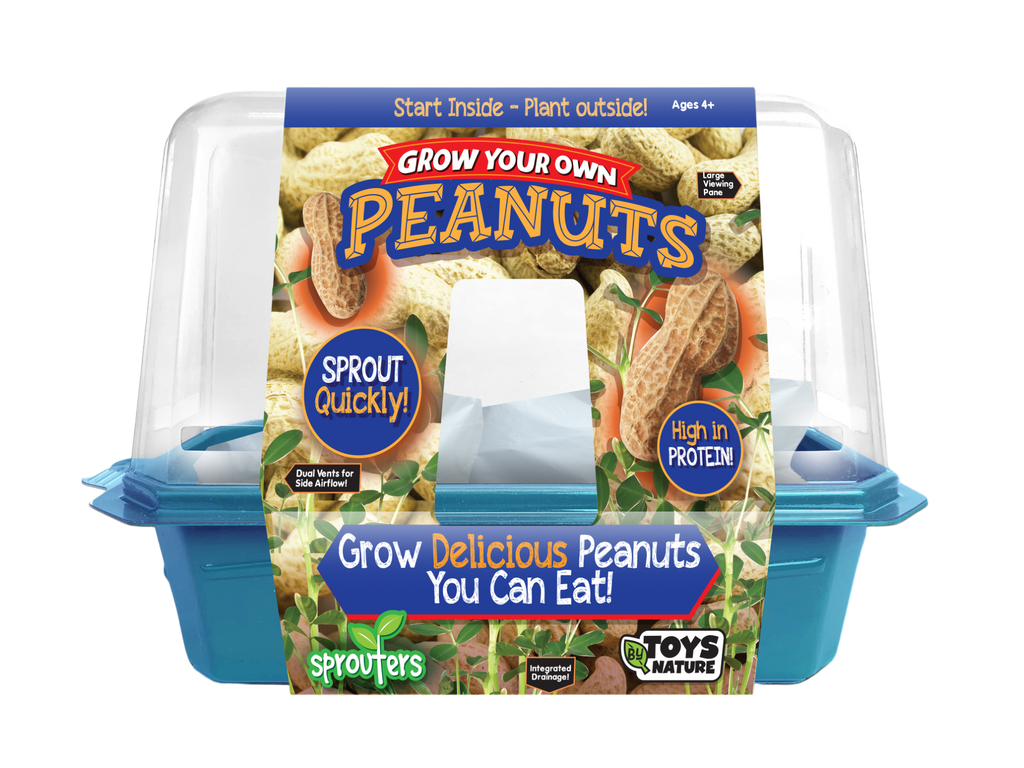 Grow Your Own Peanuts Sprouter Terrarium product image 1