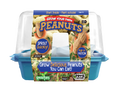 Grow Your Own Peanuts Sprouter Terrarium product image 1
