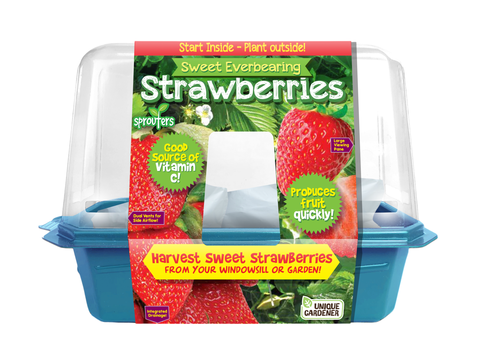 Sweet Everbearing Strawberries Sprouter Terrarium product image 1
