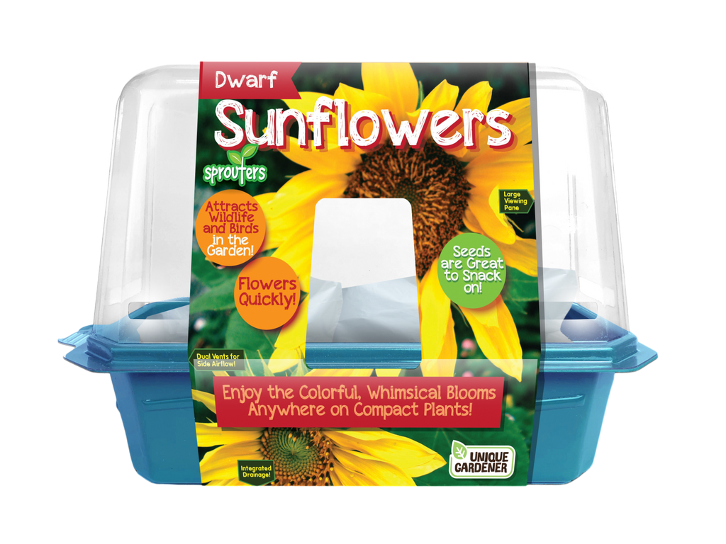 Dwarf Sunflowers Sprouter Terrarium product image 1