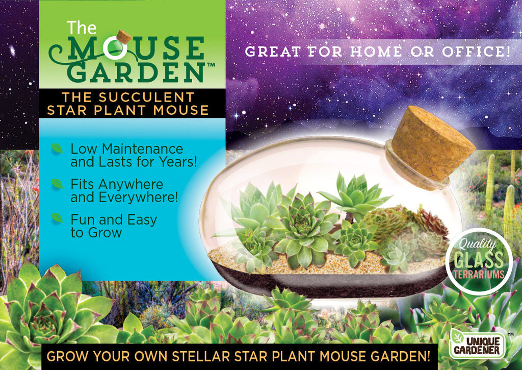 The Succulent Star Mouse Garden Glass Terrarium with Cork product image 1